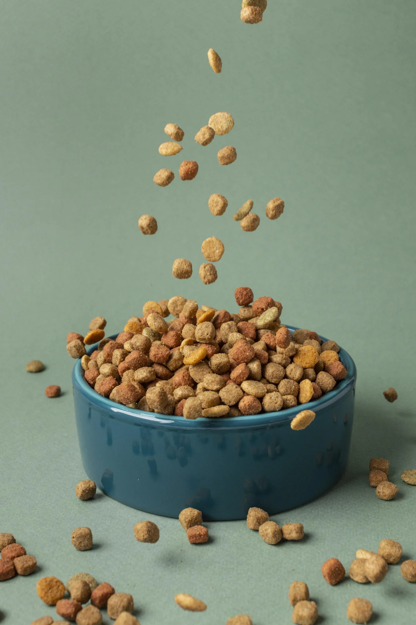 consultoria técnica pet food