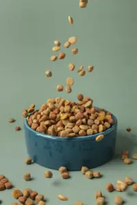 Consultoria pet food