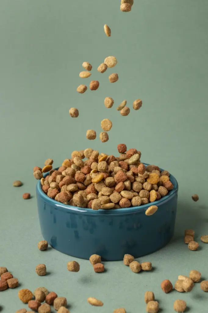 Consultoria pet food